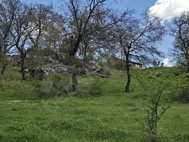 Domaniç, Kütahya içerisinde satılık mülk