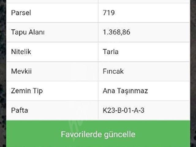 Saraycık, Altıntaş içerisinde satılık Arsa