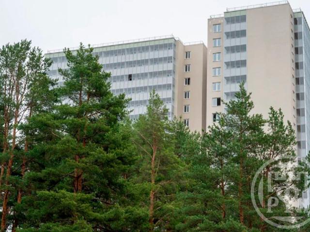Квартира продажа в Кузьмоловский Массив, Ленинградская область