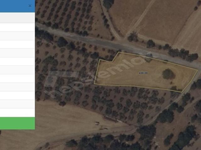 Ayvacik, Çanakkale içerisinde satılık Arsa