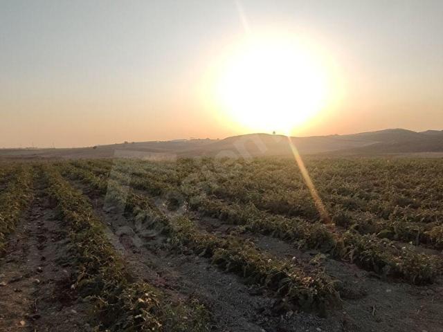 Tarsus, Mersin içerisinde satılık Arsa