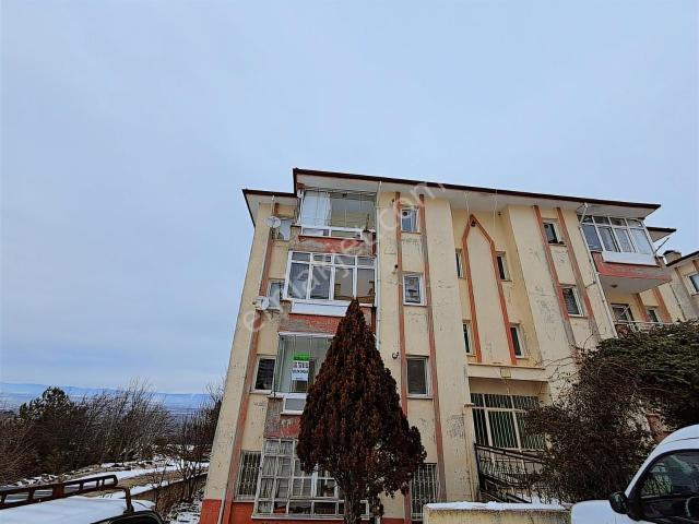 Kastamonu Merkez, Kastamonu içerisinde kiralık mülk