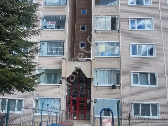 Kastamonu Merkez, Kastamonu içerisinde kiralık mülk