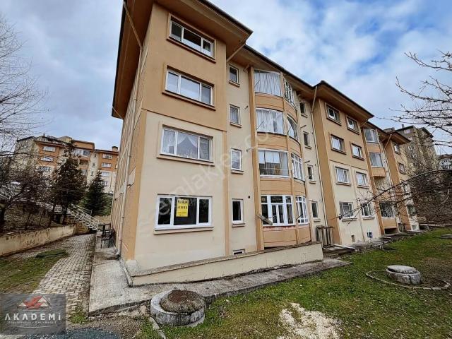 Kastamonu Merkez, Kastamonu içerisinde kiralık mülk