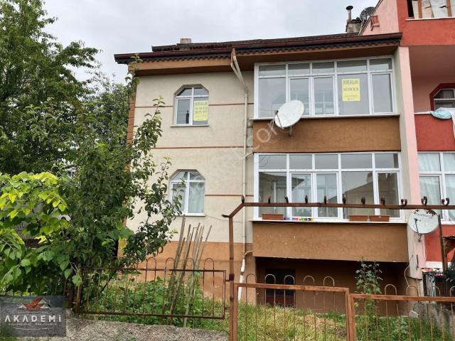 Kastamonu Merkez, Kastamonu içerisinde kiralık mülk