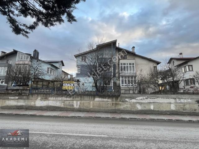 Kastamonu Merkez, Kastamonu içerisinde kiralık mülk