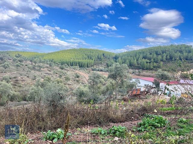 Milas, Muğla içerisinde satılık mülk
