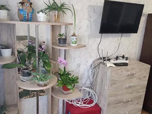 Квартира аренда в Романкове