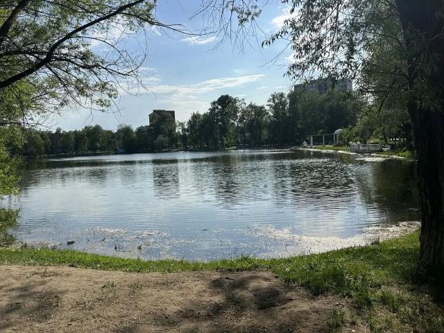 Квартира продажа в Раменское, Раменский муниципальный округ