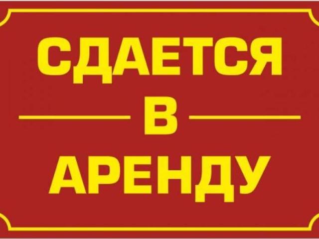 Квартира аренда в ДНС, Фурсах