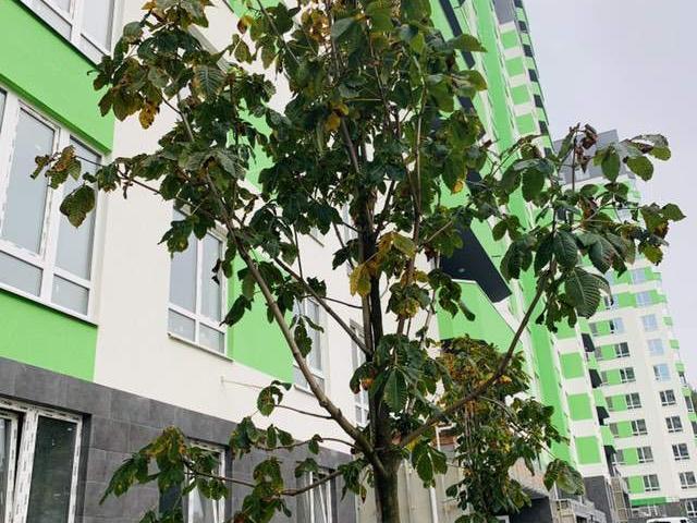 Квартира продажа в Гостомеле, Винницкой области