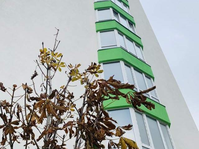 Квартира продажа в Гостомеле, Винницкой области