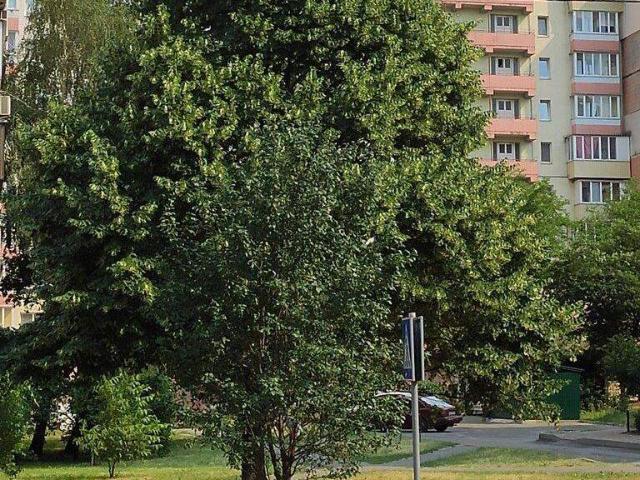 Квартира продажа в Торгмаш, Калите