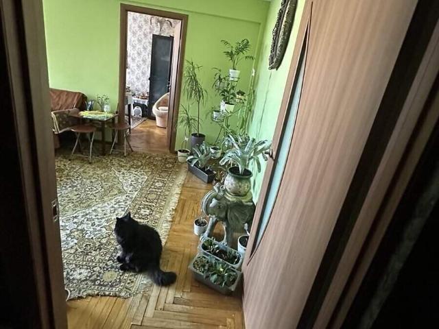 Квартира продажа в Великой Березовице