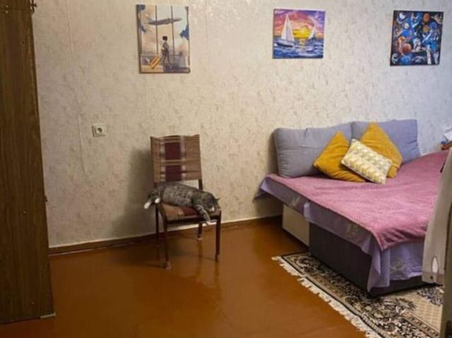 Квартира аренда в Полтавской области