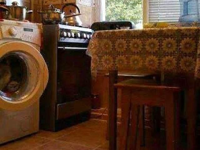 Квартира продажа в Луцке