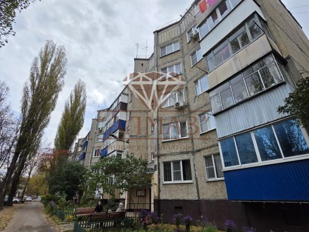 Квартира аренда в Елец, городской округ Елец