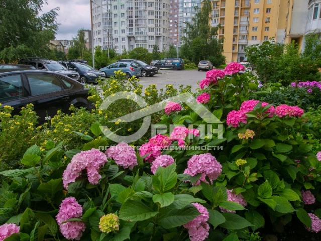 Квартира продажа в Калининград, Калининградская область