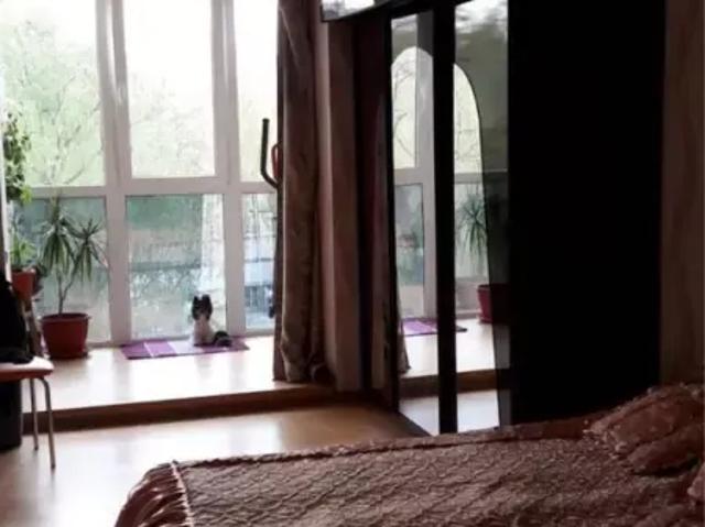 Квартира аренда в Хорошево, Донецкой области