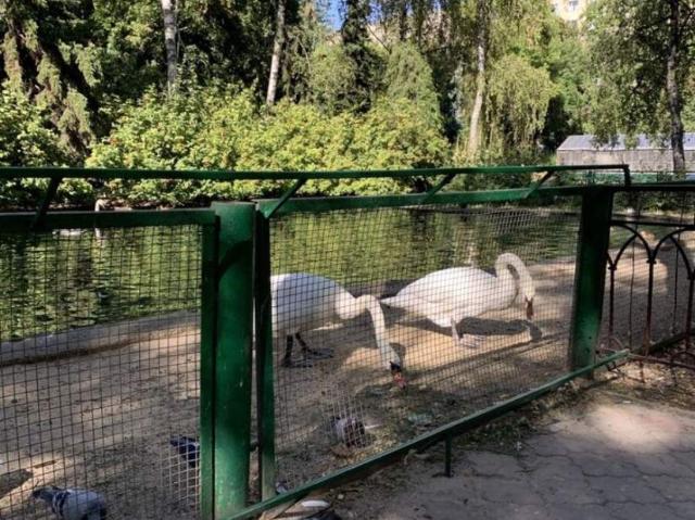 Квартира аренда в Полтавской области