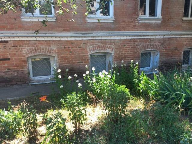 Квартира продажа в Кропивницком