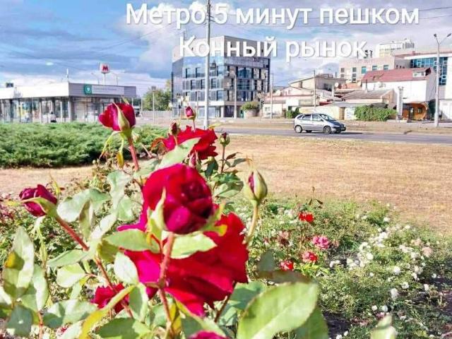Квартира продажа в Хорошево, Донецкой области