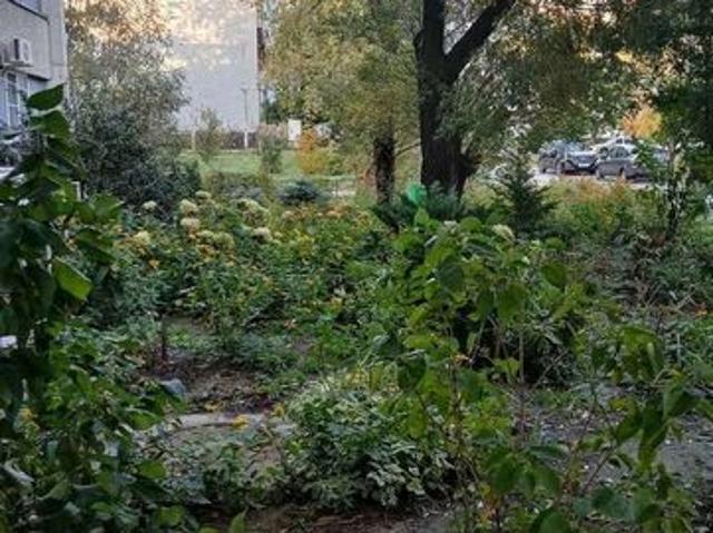 Квартира продажа в Автозаводский район, городской округ Тольятти