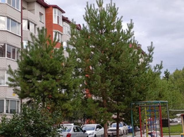 Квартира продажа в Барнаул, Алтайский Край