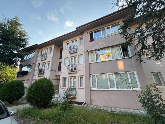 Düzce Merkez, Düzce içerisinde satılık mülk
