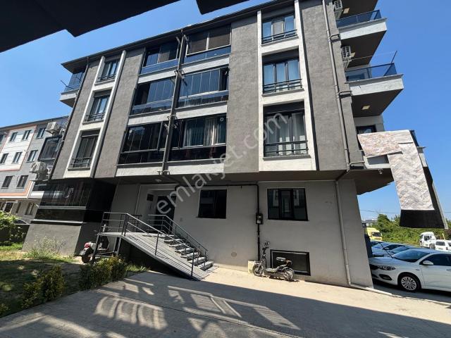 Düzce Merkez, Düzce içerisinde kiralık mülk