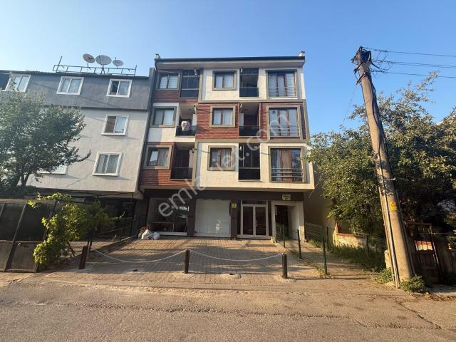Düzce Merkez, Düzce içerisinde kiralık mülk
