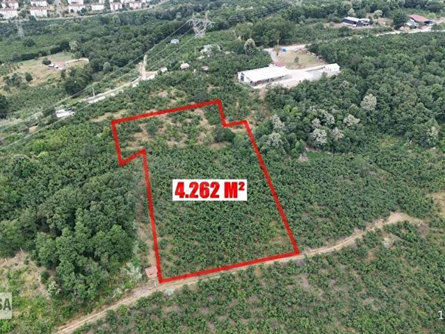 Düzce Merkez, Düzce içerisinde satılık mülk