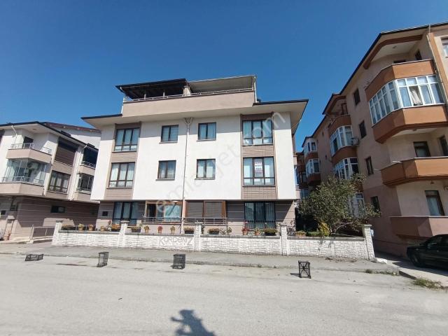Düzce Merkez, Düzce içerisinde kiralık mülk