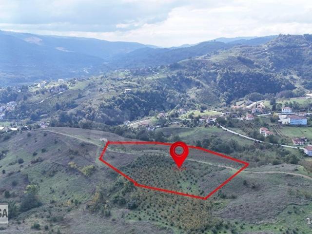 Tıraşlar, Yığılca içerisinde satılık Arsa