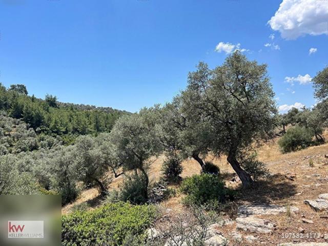 Bodrum, Muğla içerisinde satılık mülk