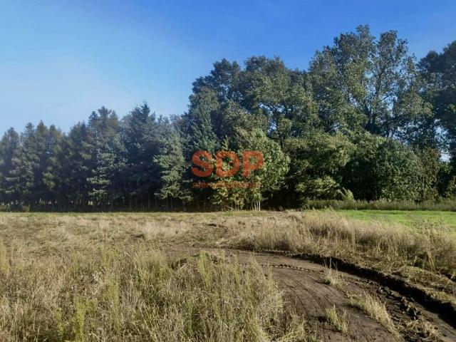 Grunt na sprzedaż w Pełczyce, Dolnośląskie