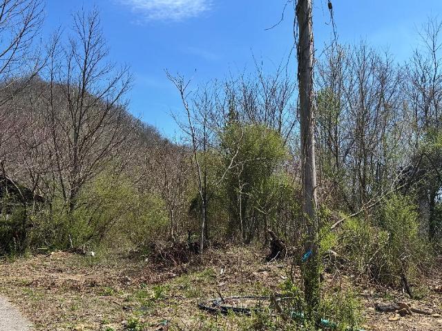 Land for sale in Harlan, Kentucky
