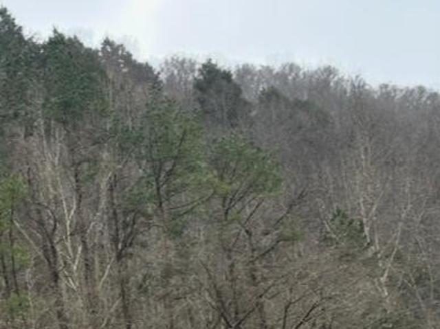 Land for sale in Harlan, Kentucky