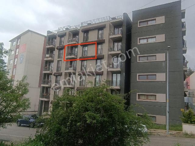 Edirne Merkez, Edirne içerisinde kiralık mülk