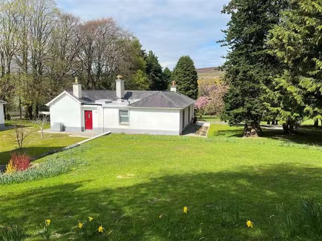 House to rent