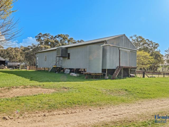 Property for sale in Cootamundra, New South Wales