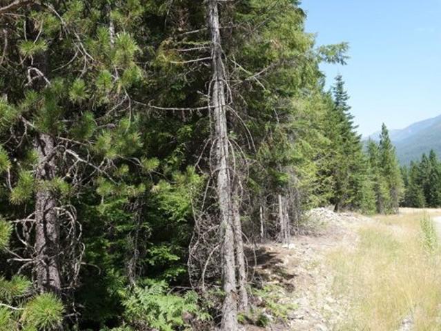 Land for sale in Troy