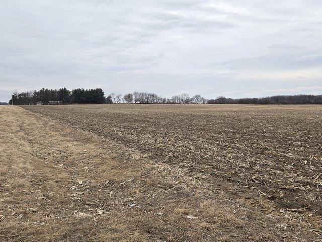 Farm for sale in Rochelle, Illinois