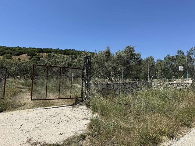 Foça, İzmir içerisinde satılık Arsa