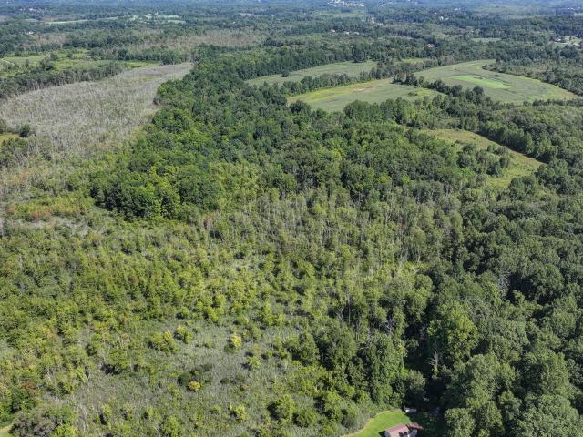 Land for sale in Holmes, New York