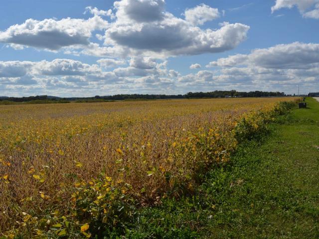Land for sale in Spring Green, Wisconsin