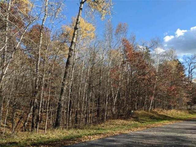 Land for sale in Crosslake, Minnesota