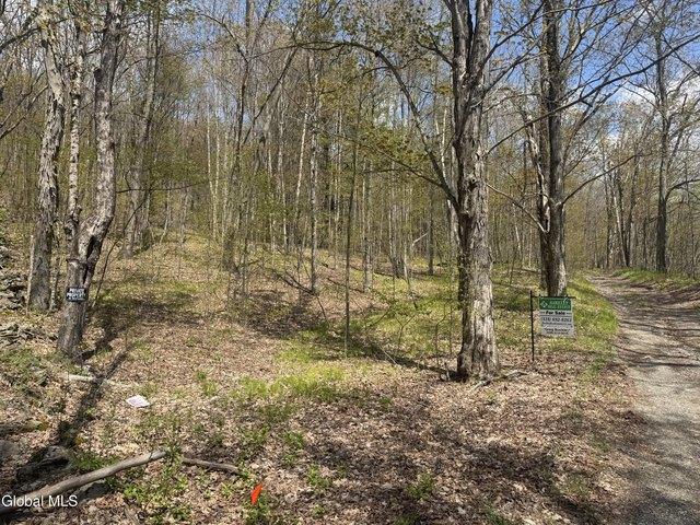 Land for sale in Comstock, New York