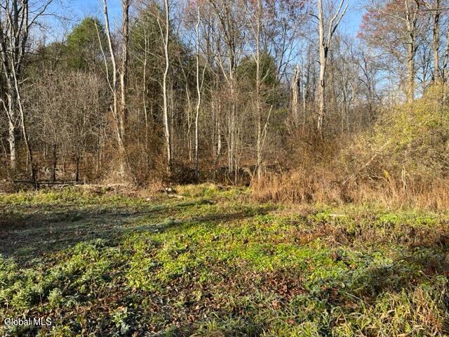 Land for sale in Hannacroix, New York