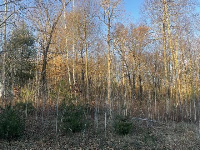 Land for sale in Gloversville, New York